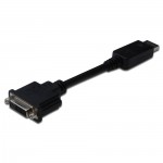 Adapter Displayport Stecker an DVI-Buchse, Länge: 20 cm